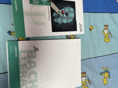 Psicología libro teórico y práctico