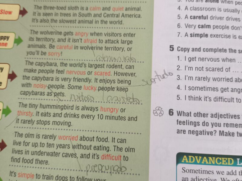 Advanced Think Ahead 2, student's book