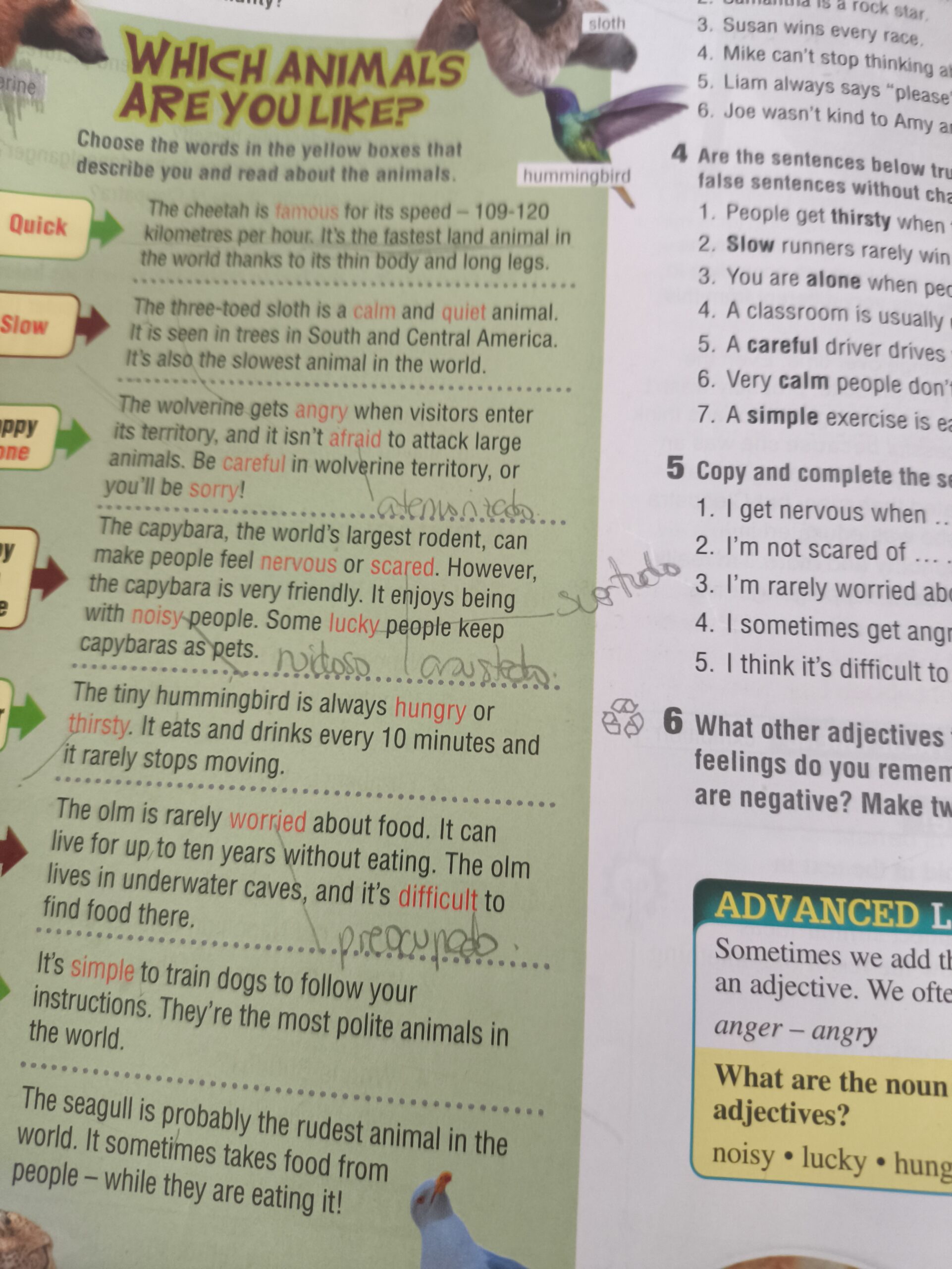Advanced Think Ahead 2, student's book