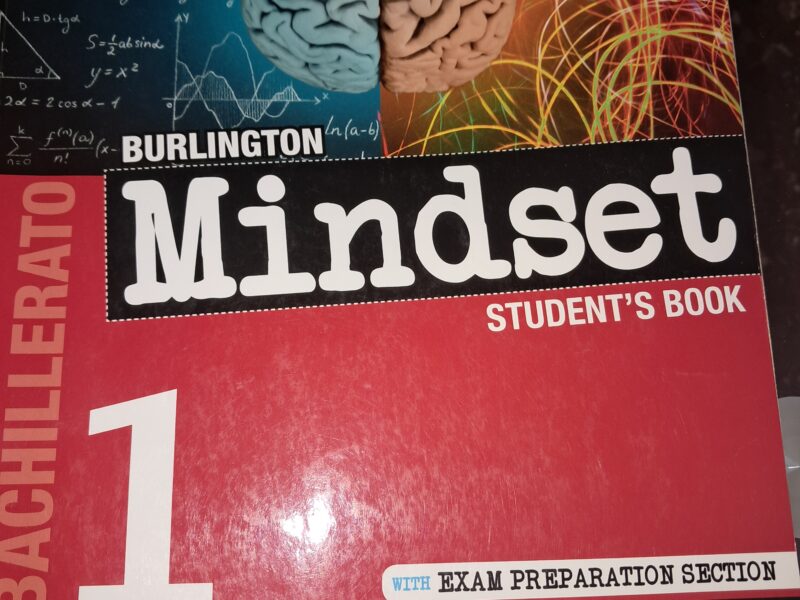 Burlington mindset 1